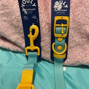 Youly dog collar and leash set